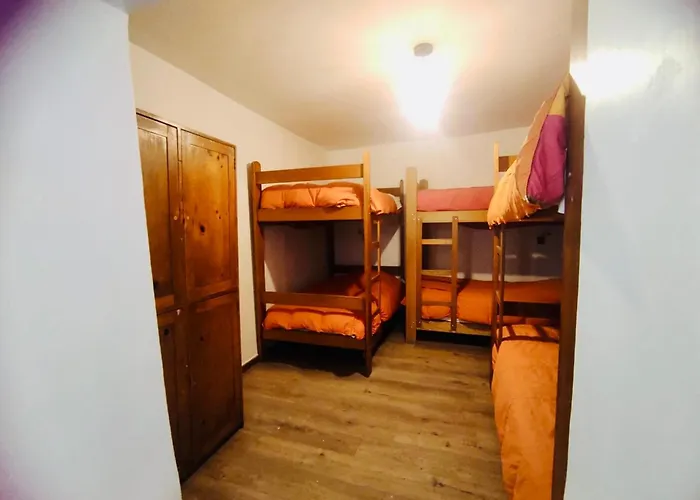 Flying Dog Hostel Cuzco