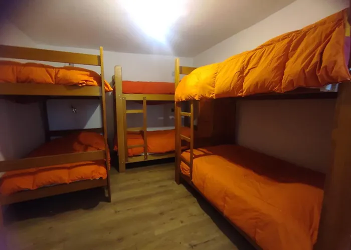 Flying Dog Hostel Cuzco